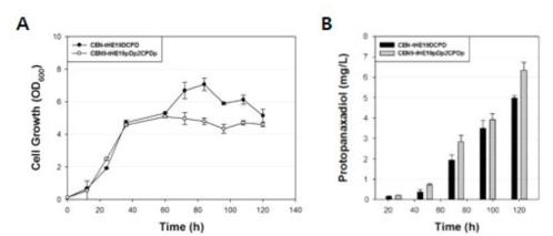 세포소기관 조절 효모 strain 9-1의 protopanaxadiol (PPD) 생산. (A, 세포 소기관 조절 및 PPD 생산 효모의 성장 변화; B, PPD 생산량 비교)