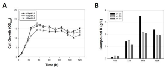 pH 조건에 따른 CK 생산량 변화 및 세포 성장. (A, 세포 성장 속도 변화; B, Compound K 생산량 변화)