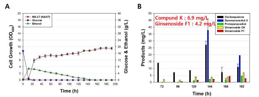 Ginsenoside F1 생산 효모 MS-C7 효모의 성장 속도 변화 및 ginsenoside 중간 대사체 및 최종 생산물의 생산량. (A, MS-C7 효모의 세포성장 속도 변화 및 유기산 분석; B. Ginsenoside 대사 중간 대사체 및 최종 생산물 ginsenoside F1의 생산량)