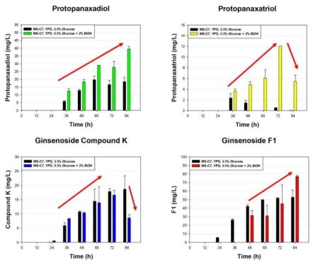 Ginsenoside F1 생산 효모 MS-C7 효모의 회분식 발효를 통한 ginsenosides 중 간 대사체 및 최종 생산물 ginsenoside F1의 생산 변화