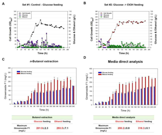 Ginsenoside F1 생산 효모 MS-C7 효모의 유가식 발효를 통한 성장 속도 변화 및 ginsenoside F1 의 생산량. (A, Glucose를 이용한 유가식 발효에서 MS-C7 효모의 성장 속도 변화; B, Ethanol을 이용한유가식 발효에서 MS-C7 효모의 성장 속도 변화; C. 유가식 발효액의 n-butanol 추출법을 이용해 확인한 ginsenoside F1 생산량 변화; D, 유가식 발효액의 direct 분석법을 이용해 확인한 ginsenoside F1 생산량 변화)