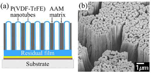 패턴 몰드를 사용한 강유전체 분극체 nanotube의 SEM 이미지 (Sci. Rep., 2015)