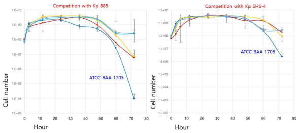 CRKP와 CRKP를 죽이는 활성이 있는 균주간의 in vitro competition assay