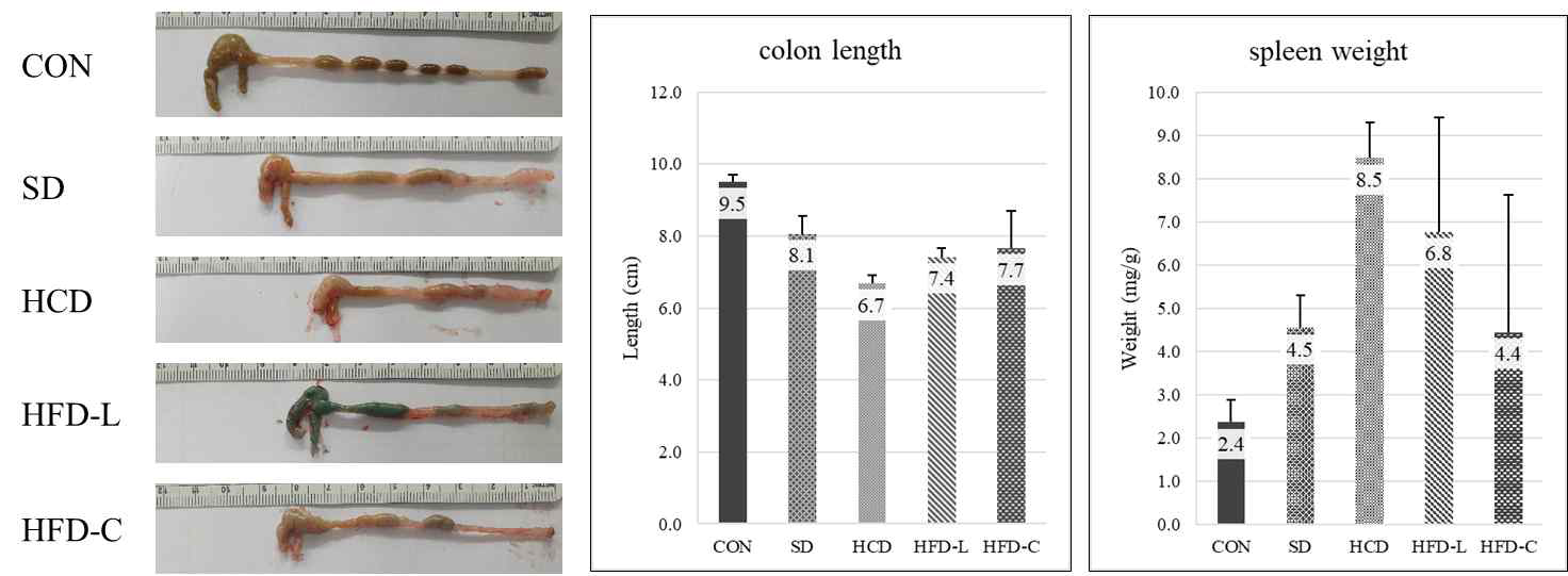 Comparison of colon length and spleen weight