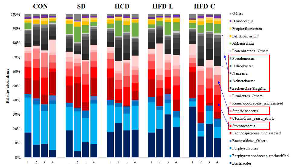 Gut microbiome composition at Genus level