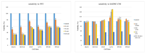 Effect of CM on cell viability of colon cancer cell lines