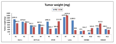 The effect of CM on tumor growth in nude mice bearing established human colon cancer xenografts