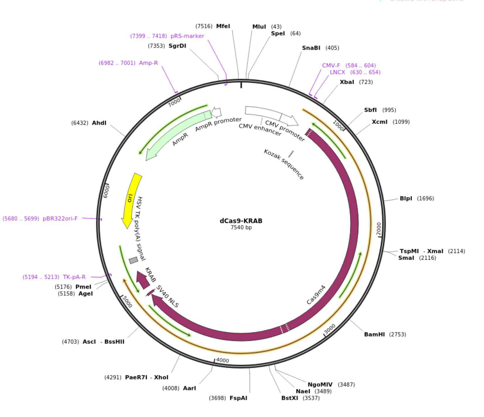 dCas9-KRAB plasmid