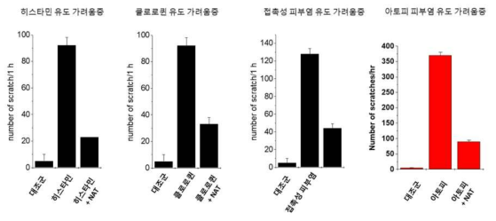 N-tryptophan의 의한 히스타민, 클로로퀸, 접촉성 피부염 및 아토피성 피부염에 의해 유도되는 가려움증의 억제. Histamine (200 μg), chloroquine (400 μg)을 N-acetyl tryptophan (10 μM)과 함께 Balb/c mice 등에 피하 주사함. 접촉성 피부염 및 아토피성 피부염은 그림 2 및 3의 방식에 의해 유도함. 접촉성 피부염 및 아토피성 접촉성 피부염에 의한 가려움증을 억제하는지를 알아보기 위하여 생리 식염수에 용해시킨 0.1% 2,4-디니트로플루오로벤젠(DNFB) 용액과 0.1% N- 아세틸 아미노산액 20 ㎕를 2,4-디니트로플루오로벤젠(DNFB) 마지막 처리 10분 후에 1회에 걸쳐 오른쪽 귀에 바르고(음성 대조군은 생리 식염수를 발라주었다), 그 후 30분 동안 뒷다리로 오른쪽 귀를 긁는 회수를 측정함