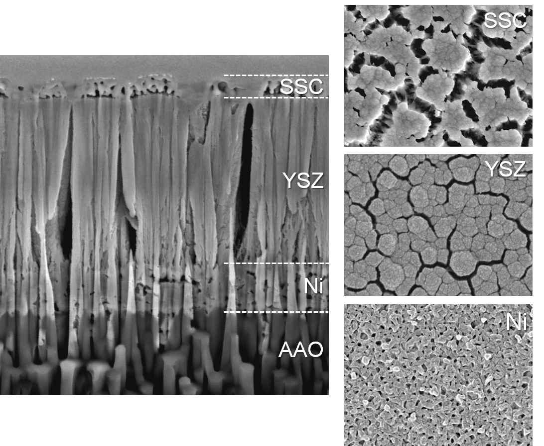 AAO기반 all porous 셀의 단면 및 각 층의 표면 FE-SEM 이미지