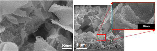 CELD를 통해 증착된 Ni 나노입자가 포함된 다공성 세리아 박막의 표면(좌) 와 그 절단면(우)에 대한 SEM 이미지