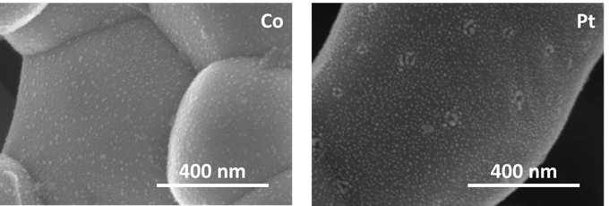 용액 침투 공정을 통해 다공성 산화물 표면에 균일하게 도포된 복합촉매의 SEM 이미지. Co 기반 복합촉매 (좌), Pt 기반 복합촉매 (우)