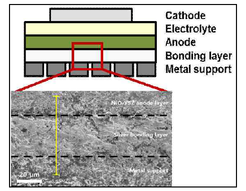 접합층 도입 금속지지체형 SOFC 개략도 및 미세구조 SEM image