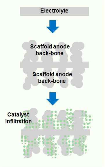 Fabrication of scaffold type anode