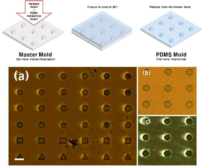 PDMS 몰드 제작 과정과 복제된 mold 모습