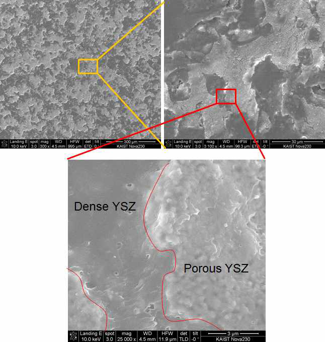 Porous YSZ/Dense YSZ 실험 후 SEM 관찰 결과