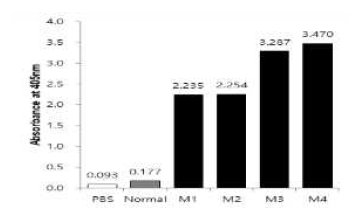 인플루엔자 H5N1 HA 항원으로 면역된 마우스(M)의 혈청 내 항체가. ELISA법으로 측정하였으며(ELISA법에 의한 O.D 값), 음성대조군으로는 PBS(인산완충액, pH 7.4)와 건강한 마우스의 혈청(Normal, 1:200 희석)을 사용하였음