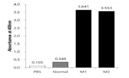 인플루엔자 H5N1 HA-F2 항원으로 면역된 마우스(M)의 혈청 내 항체가. ELISA법으로 측정하였으며(ELISA법에 의한 O.D 값), 음성대조군으로는 PBS(인산완충액, pH 7.4)와 건강한 마우스의 혈청(Normal, 1:200 희석)을 사용하였음