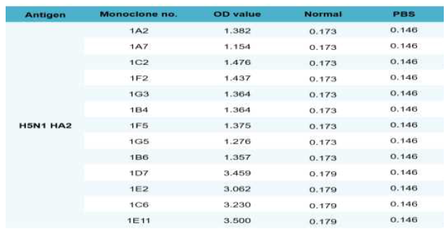 Monoclonal antibodies for H5N1 HA2 specific antigen