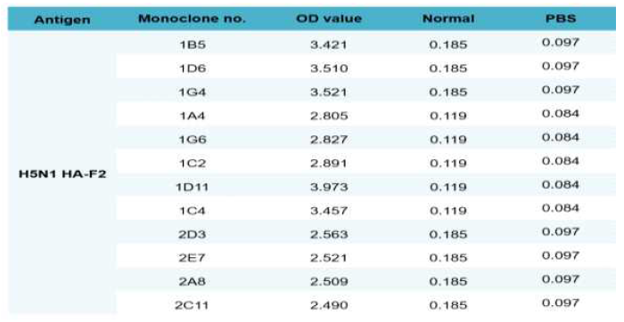 Monoclonal antibodies for H5N1 HA-F2 specific antigen