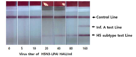 H5 특이 상용화 키트는 저병원성 H5N3에 대해서만 H5 특이 검사선의 양성임