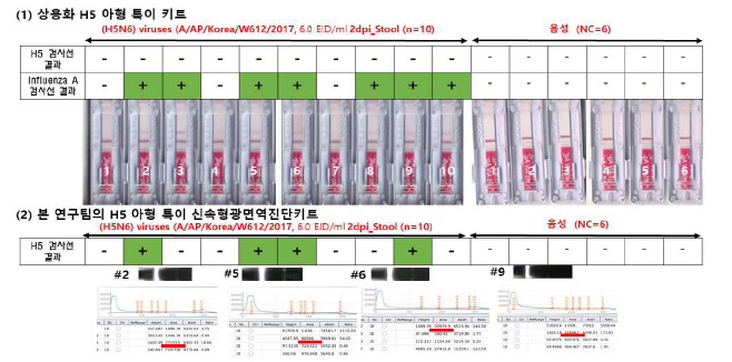 상용화 키트에 의해 7마리가 influenza A 양성이었고 본 연구진의 형광면역진단키트는 진단키트는 이중에서 4마리가 H5 양성이어서 약 57%의 양성률 (4/7)을 나타내었음, 본 연구진의 진단키트는 상용화 키트에서 influenza A 양성인 검체에서 모두 양성이어서 상당히 상관성이 높을 것으로 사료됨