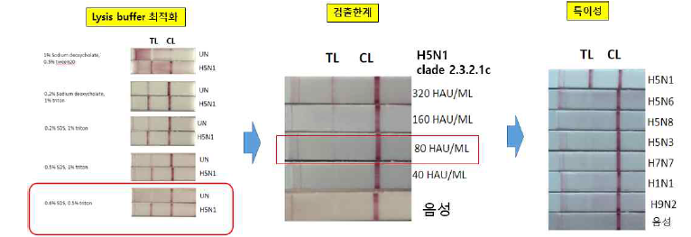 E2C1 (점적) 및 B5C1(축합)