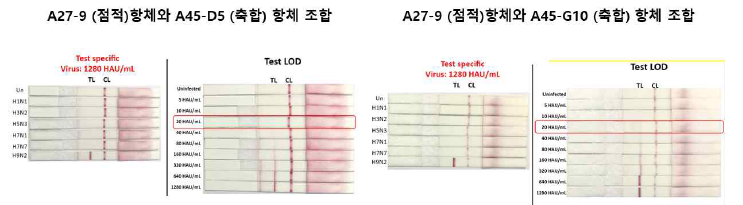 A27-9 (점적)항체와 A45-D5(축합) 혹은 A39-G10 (축합)의 검출한계는 모두 20 HAU/mL 동일함
