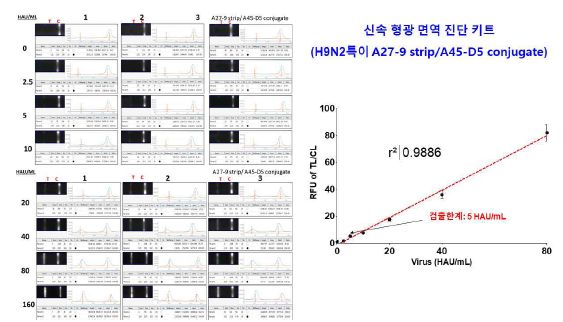 신속형광면역 진단 키트의 검출한계는 5 HAU/mL (원광대 보유한 H9N2 바이러스)