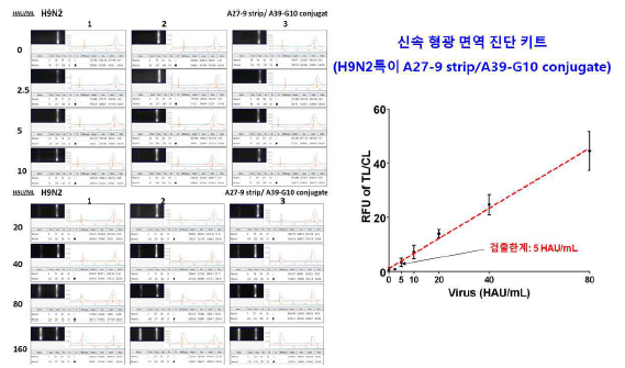 신속형광면역 진단 키트의 검출한계는 5 HAU/mL (원광대 보유한 H9N2 바이러스)