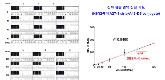 신속형광면역 진단 키트의 검출한계는 40 HAU/mL (원광대 보유한 H9N2 바이러스)