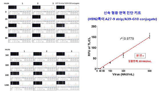 신속형광면역 진단 키트의 검출한계는 80 HAU/mL (원광대 보유한 H9N2 바이러스)