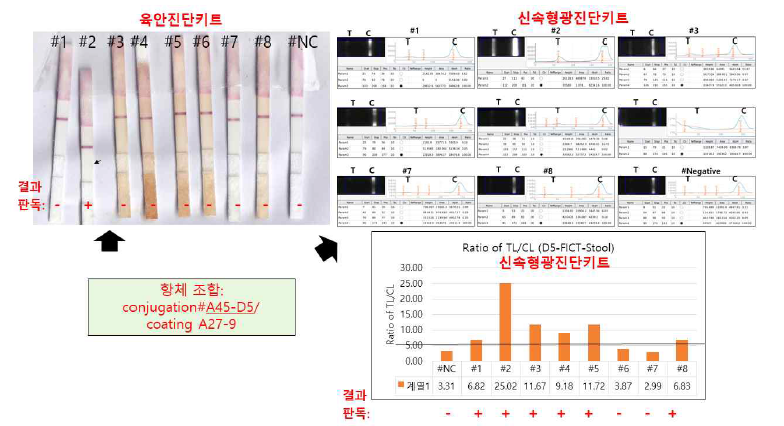 conjugation#A45-D5/coating A27-9 조합의 육안 진단키트는 감염후 2일 후 분변에서 단 1개만 양성이었고, 신속형광진단키트는 8개중에서 단 6개가 양성이었음