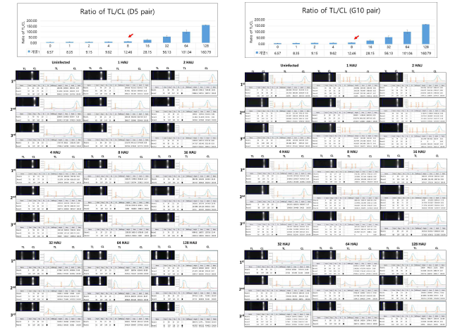 2세부가 수행한 A27-9(점적)항체와 A45-D5, A39-G10에 대해 진단스트립 성능평가 8 HAU/mL 유사한 값이지만, 형광 신호가 A45-D5가 더 강함을 알 수 있음