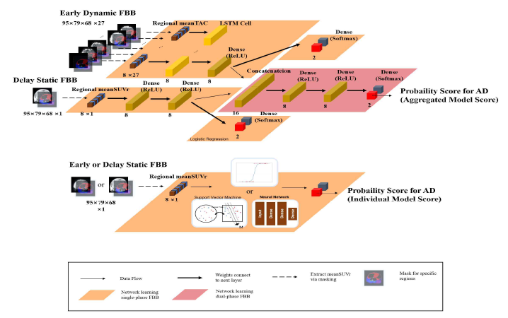 Structures of machine learning-based models to estimate AD positivity score with single or dual-phase 18F-Florbetaben (FBB) PET imaging. (a) shows a combined neural network that analyzes dual-phase FBB (dynamic early phase and delay-phase FBB). (b) shows model structure that analyzes single-phase FBB. (c) shows a label for this figure. each component deBoth (a) and (b) use regional mean SUVr extracted from a preprocessed image as an input