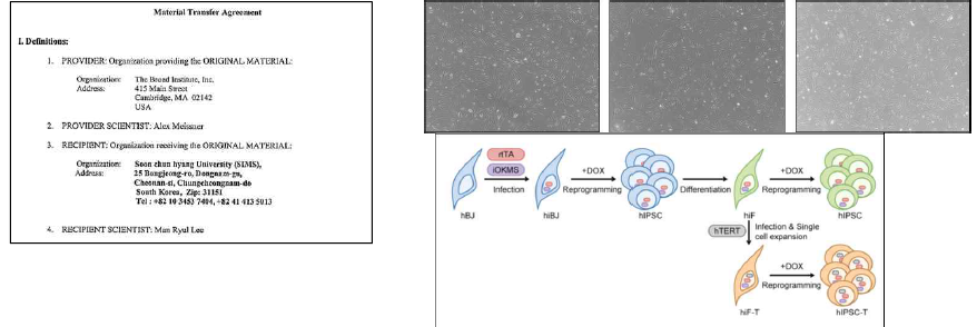 Broad Institute와 맞은 MTA 서류(왼쪽), human inducible fibroblasts-like cell (오른쪽 위), human inducible fibroblasts-like cell 제작 과정 (참고문헌)