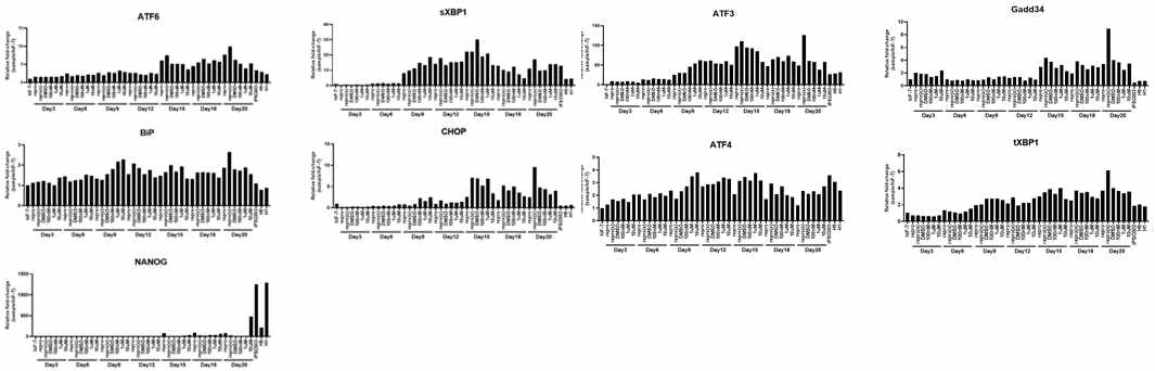 melatonin 처리에 의해 역분화 과정에서 나타나는 소포체 스트레스를 경감함