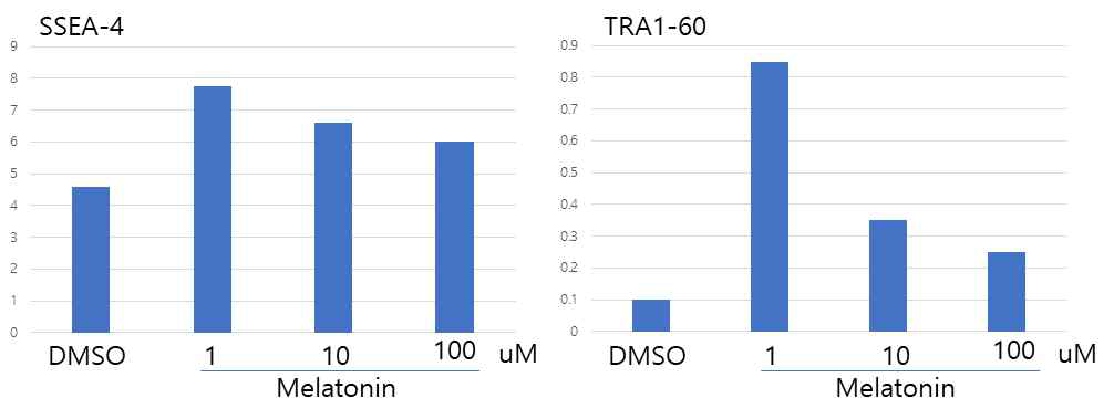 hiF-T 세포를 이용하여 melatonin이 역분화 효율에 미치는 영향을 확인함