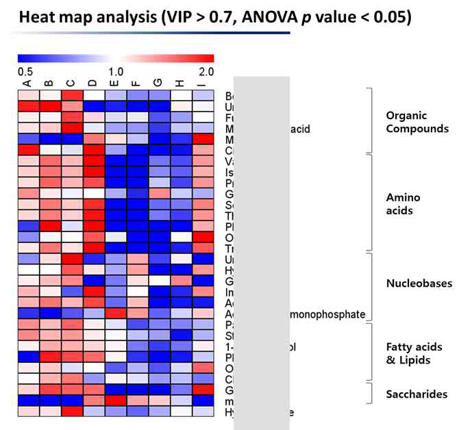 역분화 단계 별 대사체 heat map