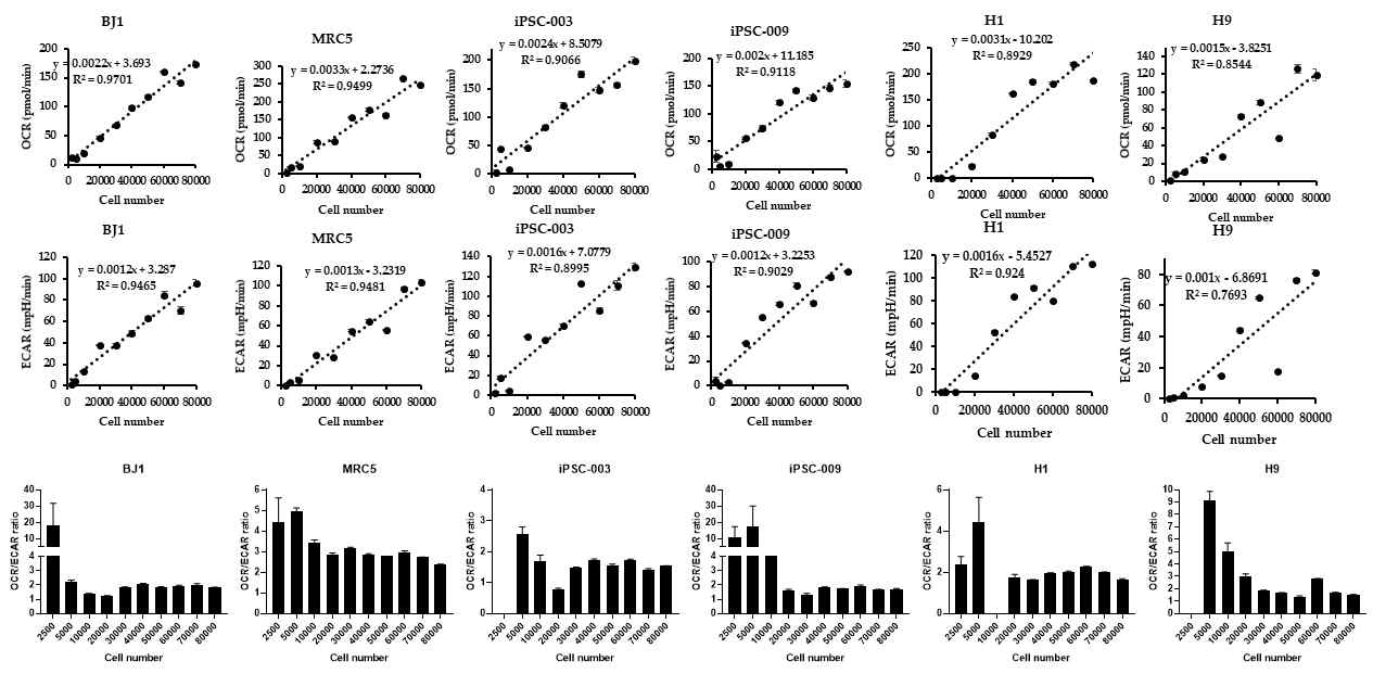 체세포 2주, 역분화 줄기세포 2주, 배아줄기세포 2주를 이용하여 세포 수 별 Gycolysis/Oxidative 확인