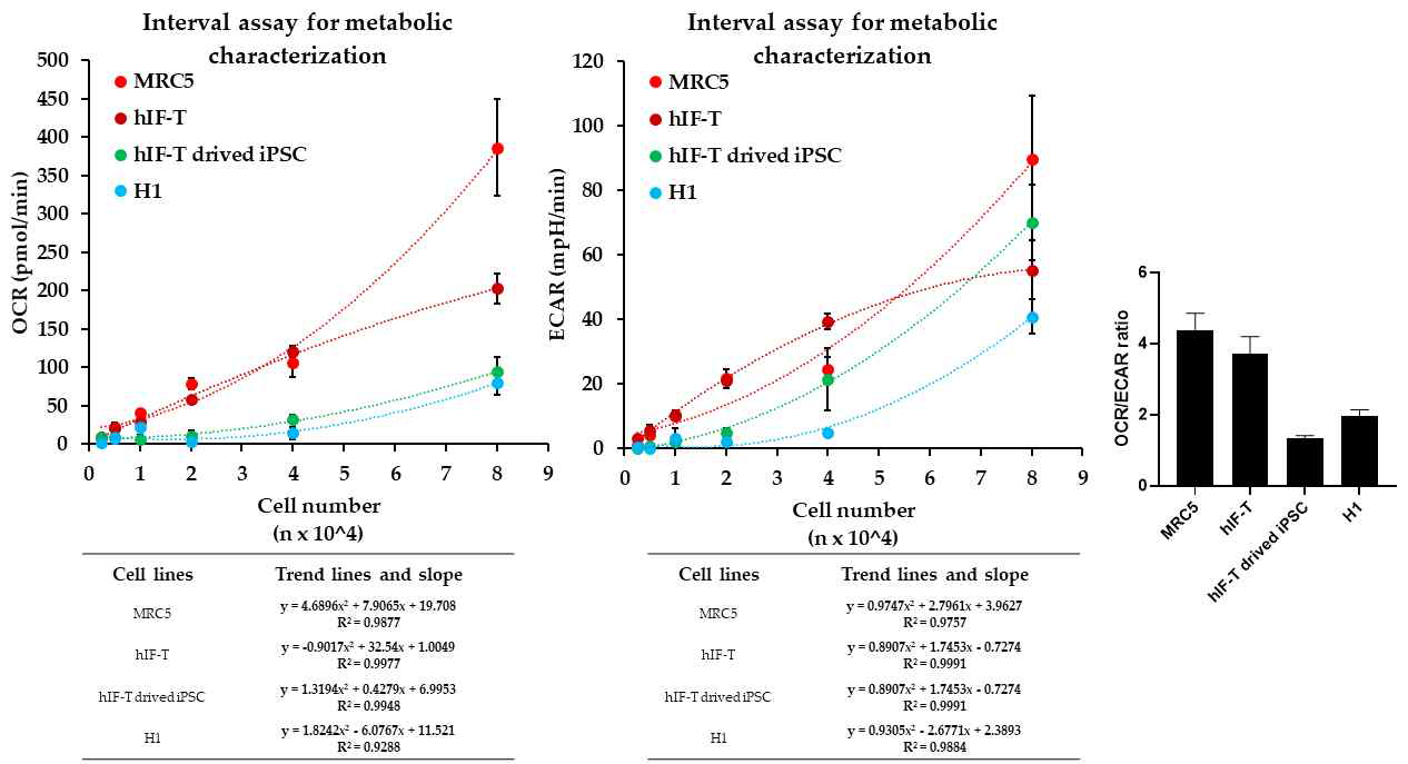 seahorse cell metabolic assay를 위한 최적 세포수