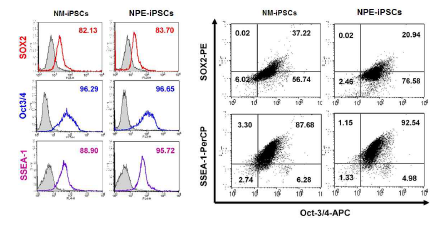 FACS 분석을 통한 줄기세포 특정 인자 발현 확인