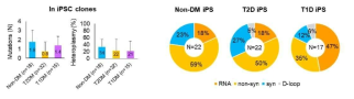 iPSCs에서의 mtDNA mutation 분석