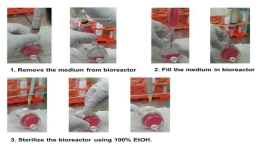 EBs을 이용한 Microgravity rotatory 3D culture system 사용방법