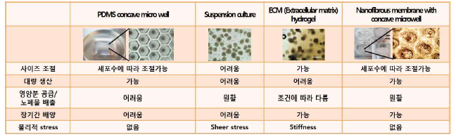 본 연구에서 사용한 다양한 조직공학적 기술을 적용한 인슐린생성세포 구상체의 3차원 배양방법