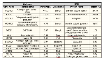 BME와 type I collagen hydrogel의 세포외 기질 단백질 조성에 관한 프로테오믹스 분석