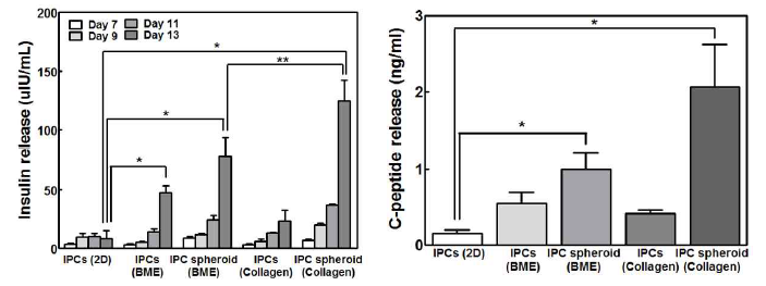 인슐린 생성세포의 배양조건에 따른 인슐린 및 c-peptide 분비능 비교