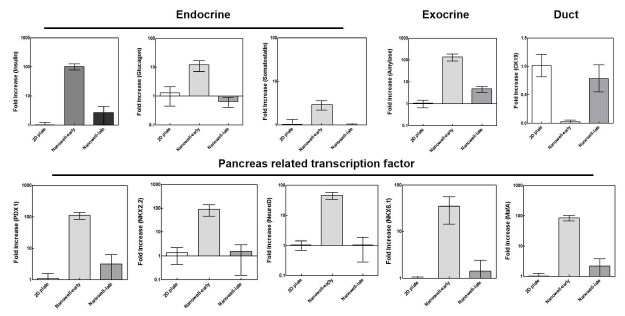 iPSC 분화 단계별로 nanofibrous concave well에 배양하여 3차원 구조 형성 시기에 따른 분화능을 비교하기 위하여 췌장관련 유전자 및 전사인자의 발현 확인 (qPCR)