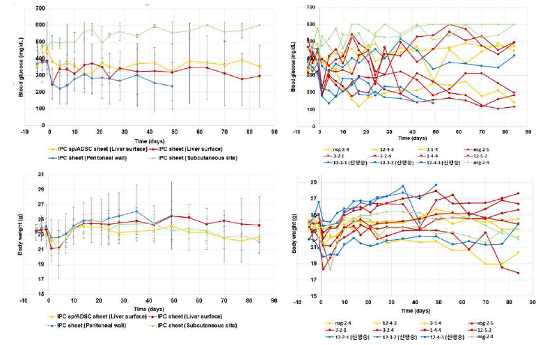 인슐린 생성세포 시트의 피하, 간표면, 복막 이식 후 혈당 및 몸무게 변화