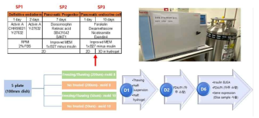 세포동결기계를 이용한 인슐린 생성 세포 동결화